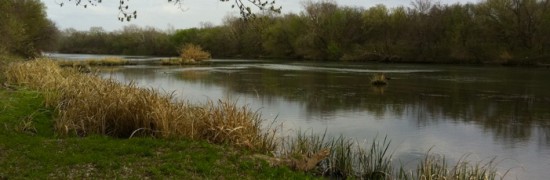 colorado-river